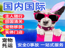 东河航空快递国际宠物托运 【国